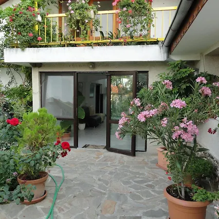 Family Belvedere Dŭlgopol