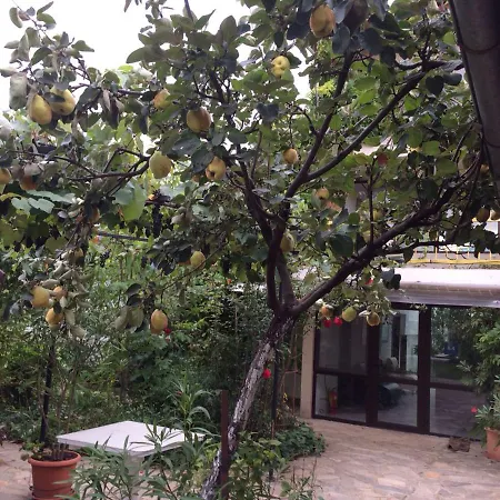 ホテル Family Belvedere Dŭlgopol