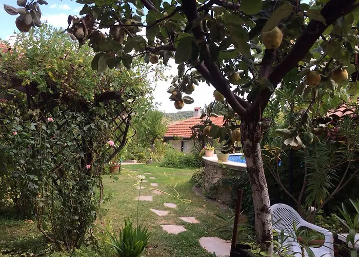 Hotel Family Belvedere Dŭlgopol