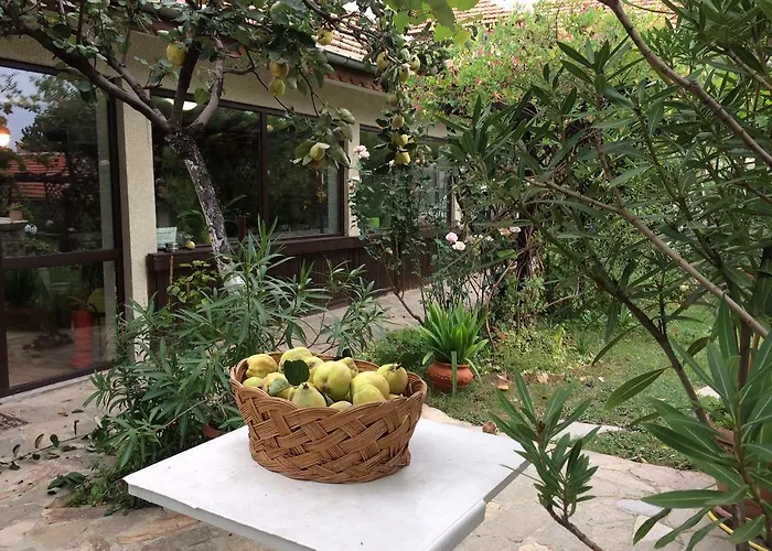 Hotel Family Belvedere