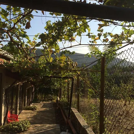 Hotel Family Belvedere