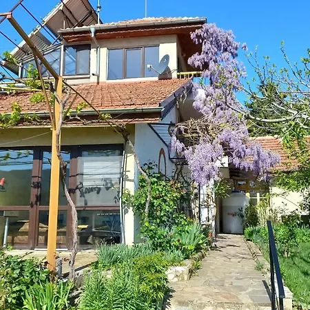 Family Belvedere 호텔 *