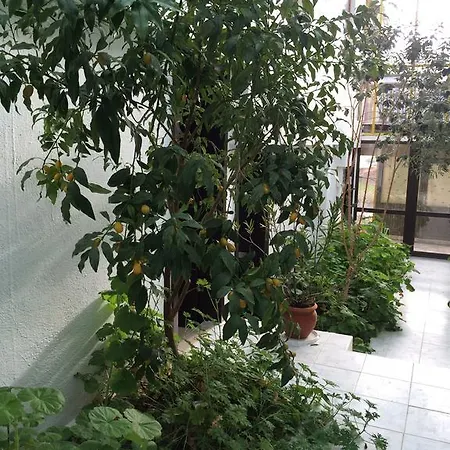 Family Belvedere Dŭlgopol