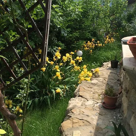 Hotel Family Belvedere