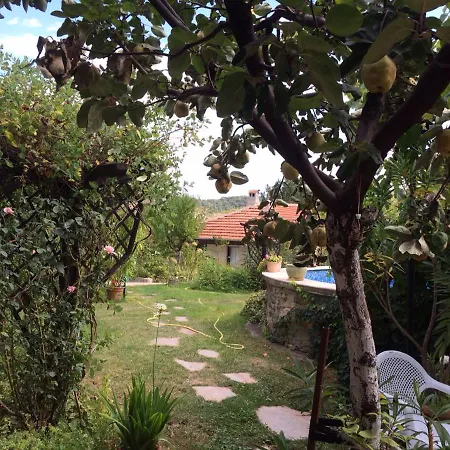 Hotel Family Belvedere Dŭlgopol