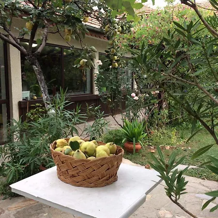 Hotel Family Belvedere