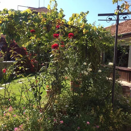 Family Belvedere Hotel *